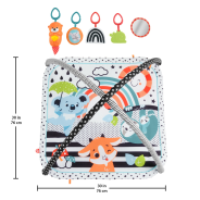 3-In-1 Music, Glow And Grow Gym Activity Play Mat